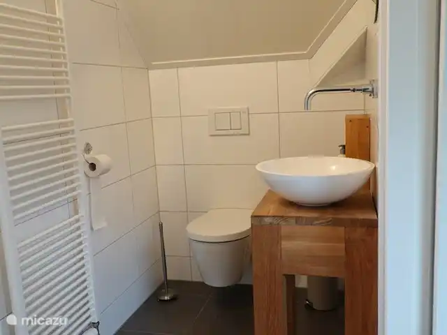 Ruime baskamer met toilet